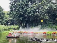 -广州长隆飞鸟乐园