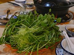 -一煲鸽