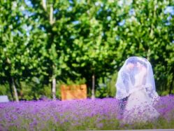 android_upload_pic-戛纳印象摄影(潮拍定制馆)