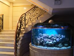 大堂-碧中海汤泉汗蒸酒店