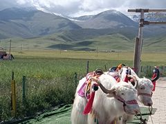 -青海湖国家重点风景名胜区