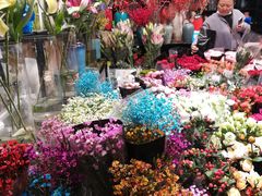 -双季花艺园艺市场(浦东店)
