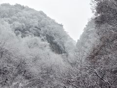 -陕西省红河谷森林公园