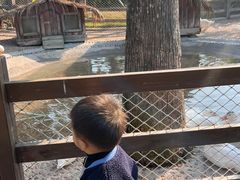 -珠海海泉湾神秘岛亲子乐园