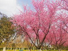 -白塘生态植物园