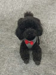 -斐尔国际皮肤管理中心