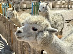 -水上乐园·欢乐世界