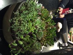 妈妈的味道-妈妈的味道(工人体育场东路店)