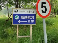 -东郊湿地公园
