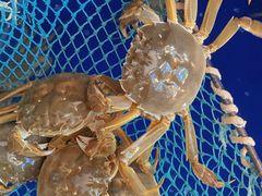 -阳澄湖大闸蟹·琼灵阁牌品牌连锁(吴中总店)