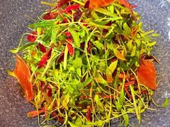 -虹之森·小馆