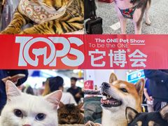 -东浩兰生上海世博展览馆