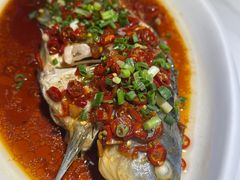 -湘聚缘.湖南菜(光明路店)