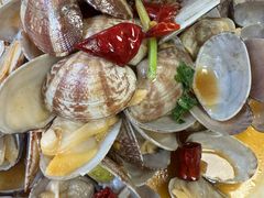 -鲁前海沿儿