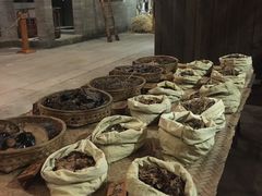 -陈李济中药博物馆