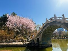 -团结湖公园