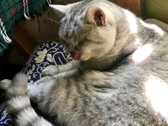 -不舍昼夜咖啡馆