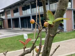 -白鹭湾湿地公园