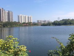-广东花都湖国家湿地公园