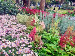 -人民公园(罗湖区)