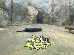 -南昌动物园