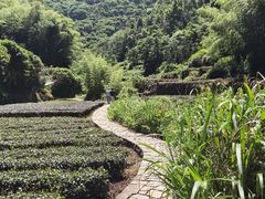 -十九峰景区-倒脱靴