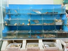 -宾朋海鲜饭庄(兴海路店)