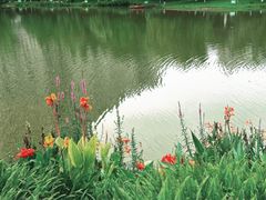 -沐仙湖湿地公园