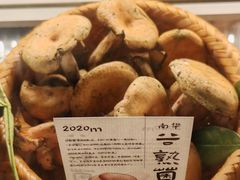 -滇野云南野生菌餐厅(陕西南路店)