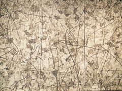 -江苏省美术馆(长江路新馆)