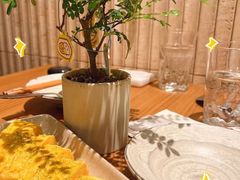 -CURRY YA 熟成咖哩專門店(深圳湾万象城店)