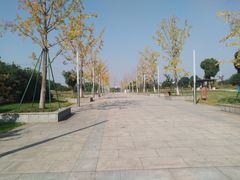-九里河湿地公园