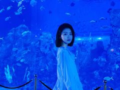 -石家庄极地海洋世界