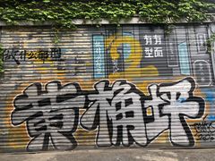 -黄桷坪涂鸦艺术街