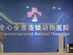 -全心全意连锁动物医院·微创中心·内科急重症·心脏专科(丰管路店)