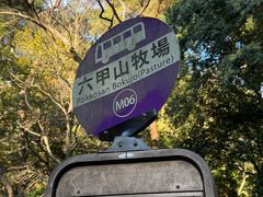 -神户市立六甲山牧场