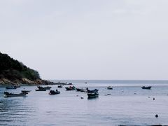 -海源公园