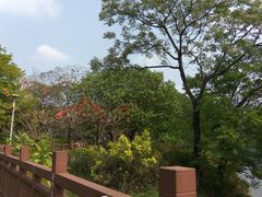-广东花都湖国家湿地公园