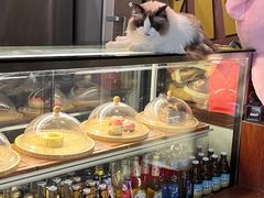 -咖法森林·咖啡  酒吧(天河店)