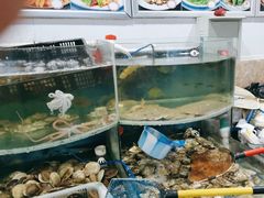 -鑫渔港海鲜本地菜·山海关浑锅(东戴河店)