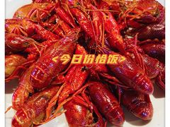 蒸虾-虎虎龙虾大排档(双井店)