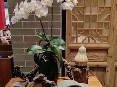 -龙悦湾酒家·八阵鱼生·渔人码头店