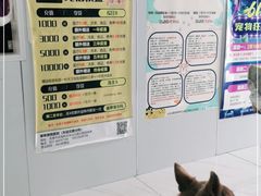 -乖乖宠物医院·猫科·急重症中心(车站北路分院)