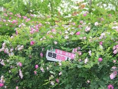 -南京国际青年文化中心