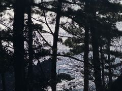 -柱状节理带