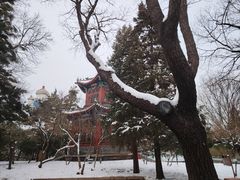 -宣武艺园