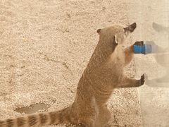 -海合安武汉极地海洋公园