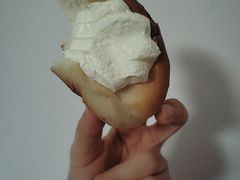 -新侨三宝乐面包店(菜市口店)