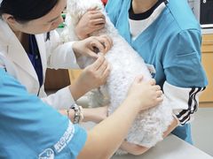 -联合动物医院(光谷诊疗中心)