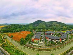 -上海佘山国家森林公园天马山园